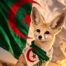 Akila Soltana 1/9 🏹🤍🇩🇿 profil fotoğrafı
