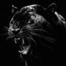 ᶻ 𝘇 𐰁 profil fotoğrafı