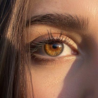 Vzla_sinfiltro's profile picture