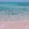 Фото профиля OCEAN