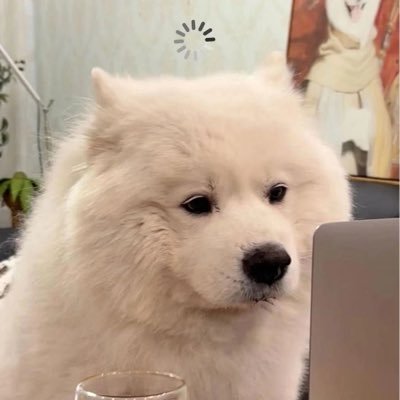 .primployyy۶ৎ's profile picture