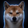 超有能犬のポッチ profil fotoğrafı