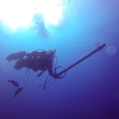 WajdiAkkari's profile picture