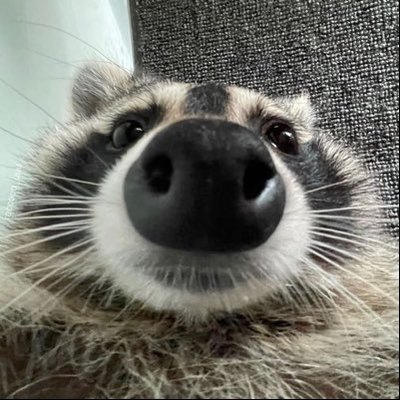 madzzic's profile picture