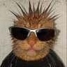 Efe Argana's profile picture