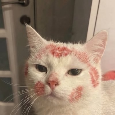 jmnksts's profile picture