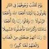 Profilbild von Mohamed Hamdy