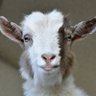 VibezReloaded's profile picture