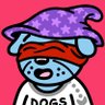 CoinDoggie's profile picture