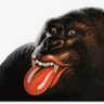 dr murdock's profile picture