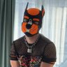 Pup Kenji's profile picture