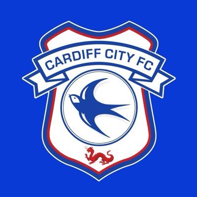 CardiffCityFC's profile picture