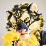 금호琴虎クムホ🐯🔜FUR:RAID's profile picture