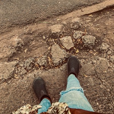 TWEDISCO GH 🤦♂️ ✪ 🍀 𓃵🧸's profile picture