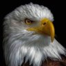 Khaldoun's profile picture