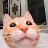Aletsundere profil fotoğrafı