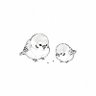 sae's profile picture