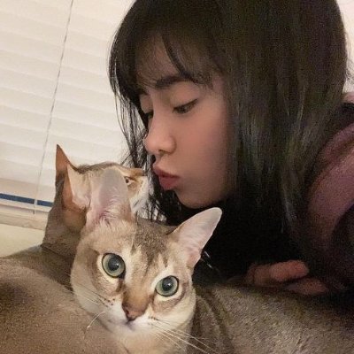 potato's profile picture