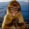 K 🇫🇷 profil fotoğrafı
