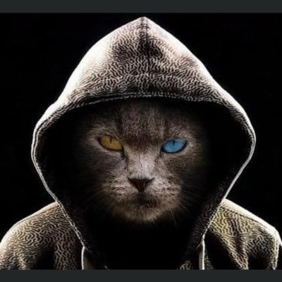 Retiredcatinhat's profile picture