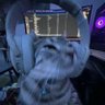 Profilbild von vegz