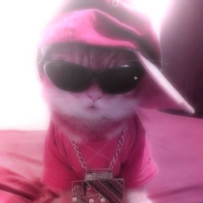 1mmaStarrr's profile picture