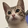 Profilbild von deigo