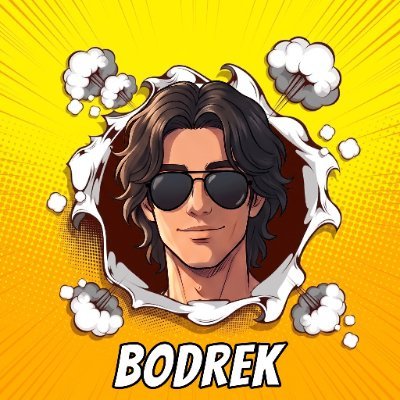 BODREK's profile picture