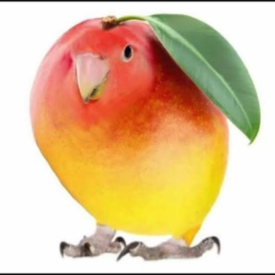 Igor Afirma 🇧🇷's profile picture