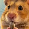Profilbild von Harold Hamster
