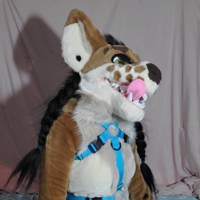 AmberYeen's profile picture