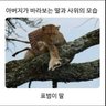 Lion Ma'am profil fotoğrafı