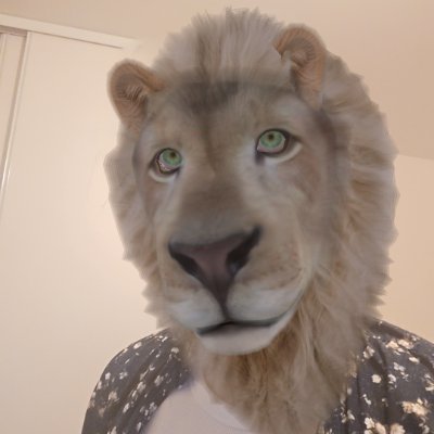 Liassur 🌕's profile picture