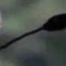 ibgienvvwjnvvx's profile picture
