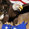 Conservative Eagle's profile picture