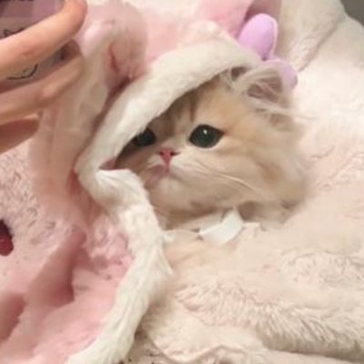 ciu7👿's profile picture