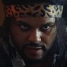 ricky's profile picture