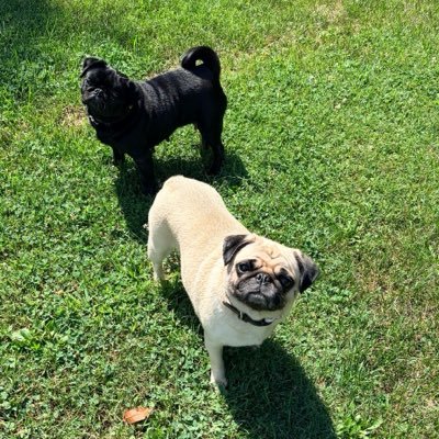 Christine Brejcha-Beach's profile picture