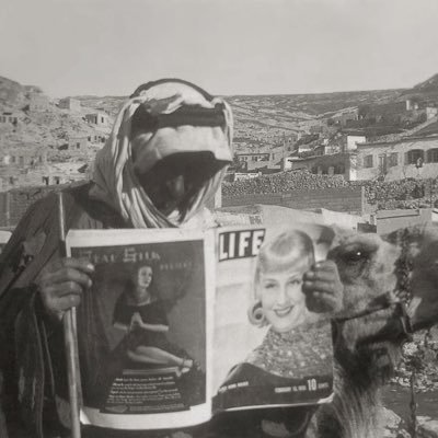 1lviil_'s profile picture