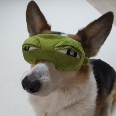 CDrom_sym's profile picture
