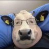 milk me's profile picture