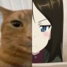 Malek's profile picture