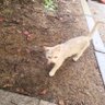 xhy profil fotoğrafı