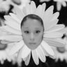 tashi💐's profile picture