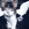 Profilbild von 烏雲