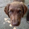 Melinmiar's profile picture