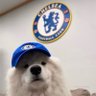 Johnson's profile picture