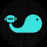 Splash NFL profil fotoğrafı