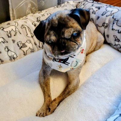 mommasboymushu's profile picture
