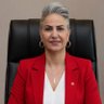 Tülin Özer profil fotoğrafı